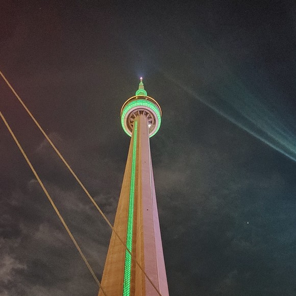 Meet your Posher, Tardis - Picture 1 of 1